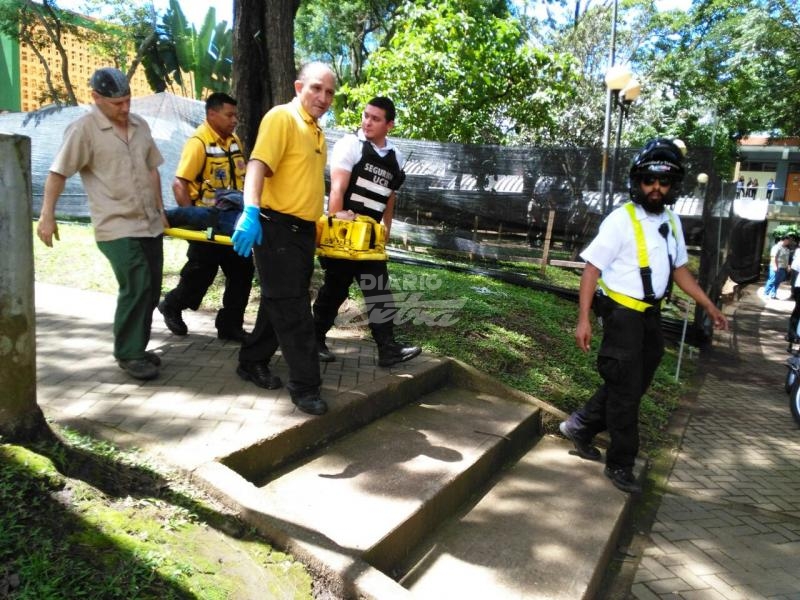 Diario Extra - Puente colapsa y caen 15 estudiantes a quebrada en ... - Diario Extra Costa Rica