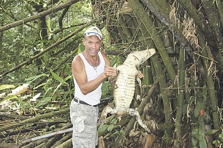 Diario Extra - 'Chito' triste por matanza de 'cocos'