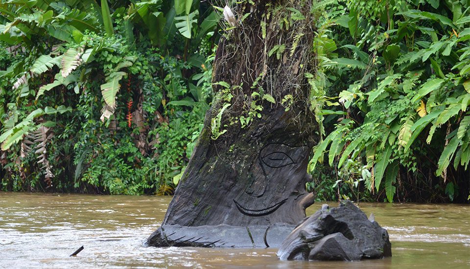 Canal de Tortuguero rodeado de bosque lluvioso