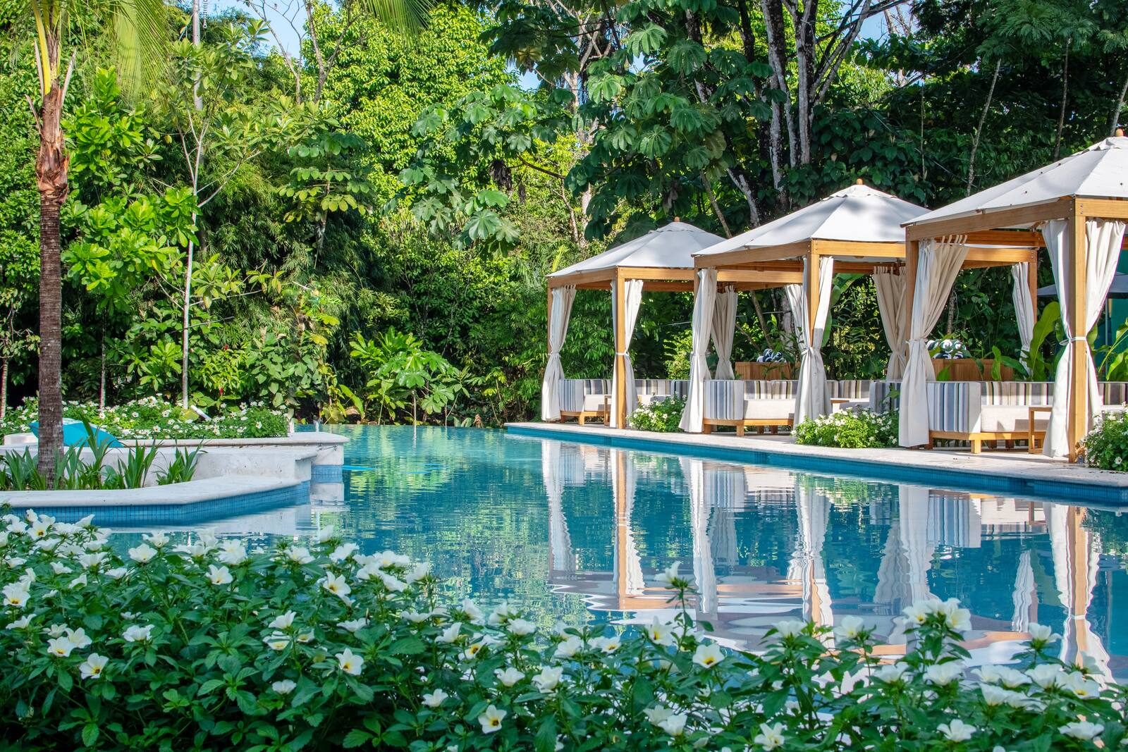 Piscina estilo laguna con cabanas rodeada de bosque lluvioso en Botanika Osa Peninsula
