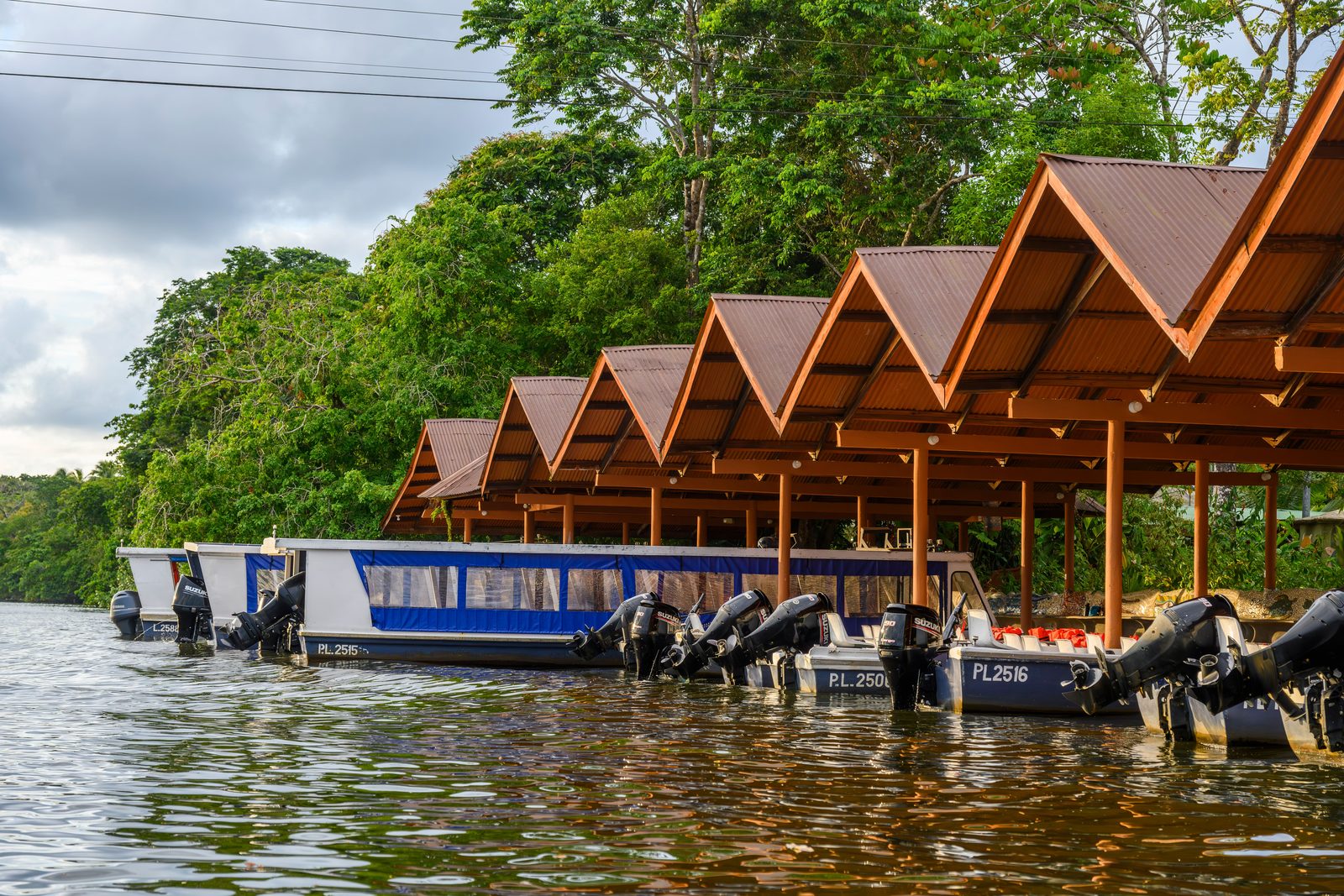 Botes en los canales de Tortuguero frente al muelle de Laguna Lodge, rodeados de selva
